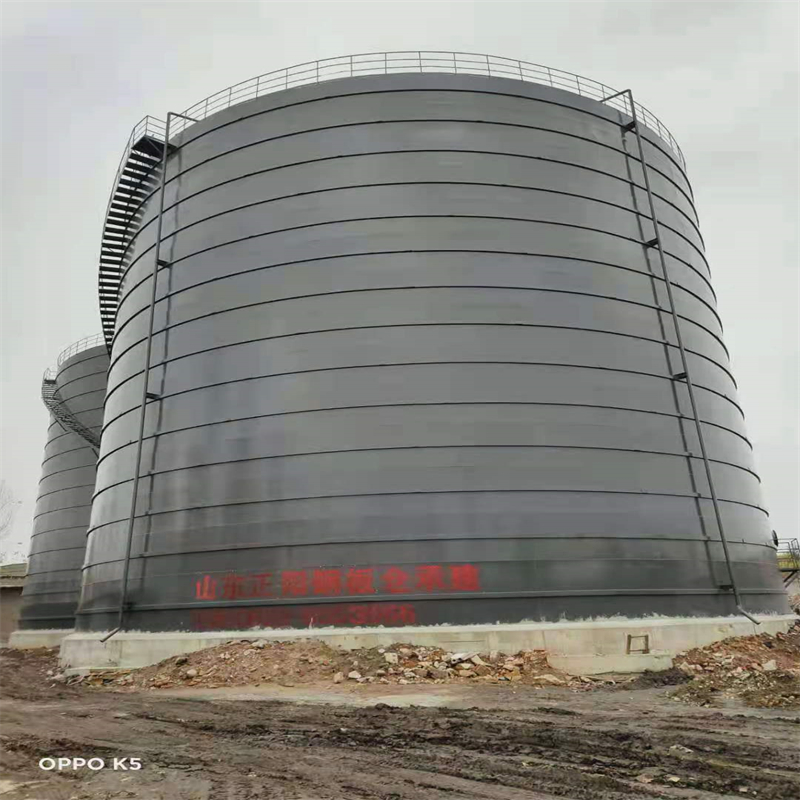 徐闻3万吨大型钢板库